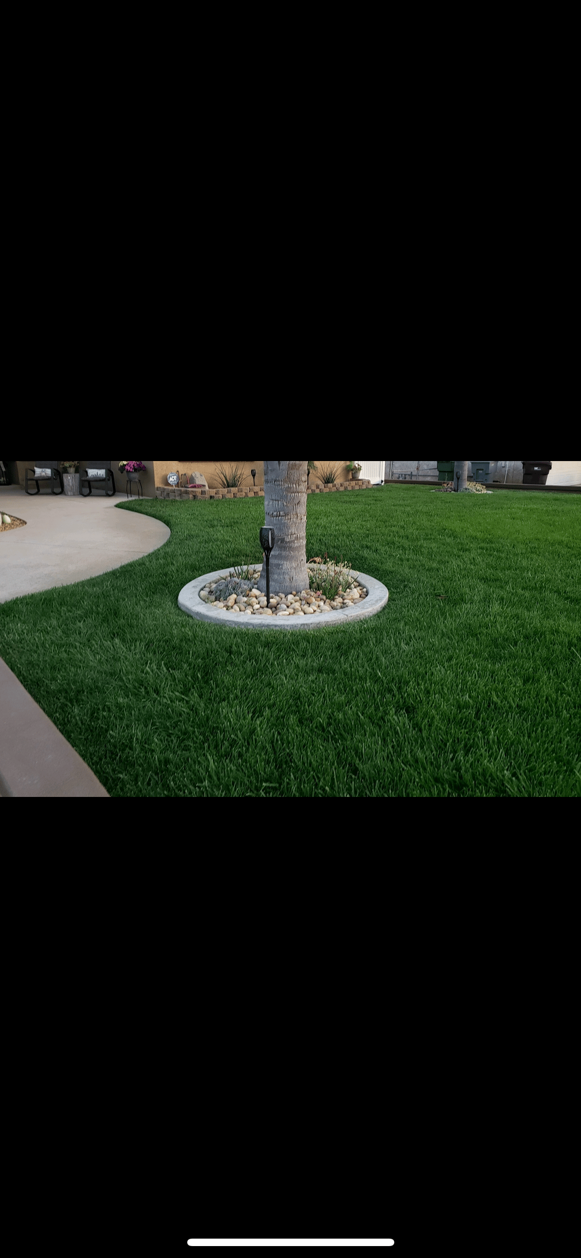 Weekly Lawn Care